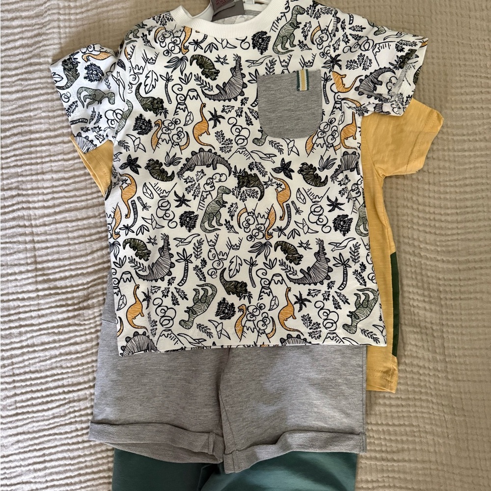 3T 4 piece set - Dino Print